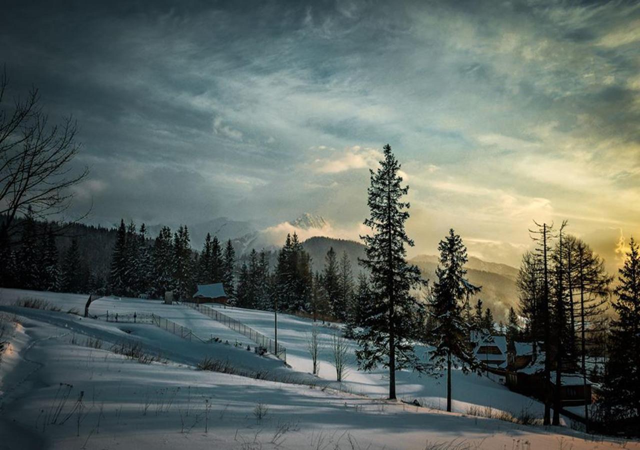 Apartamenty Toporowa Cyrhla Zakopane Extérieur photo
